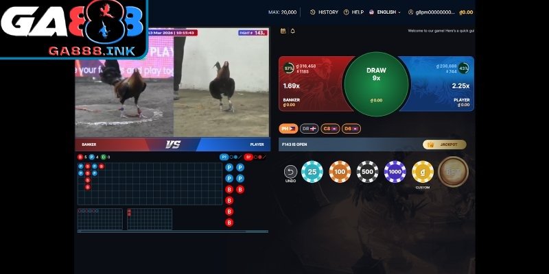 So sánh phong độ chiến kê để đưa ra quyết định chính xác