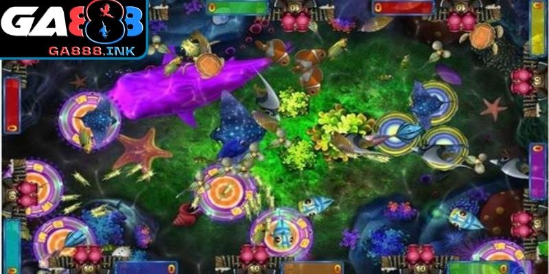 Thông tin chung khi tìm hiểu trùm cá 3D