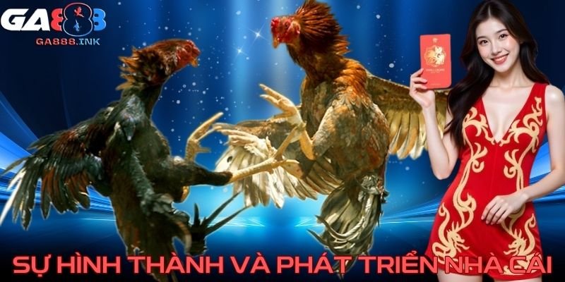 Sự hình thành và phát triển nhà cái