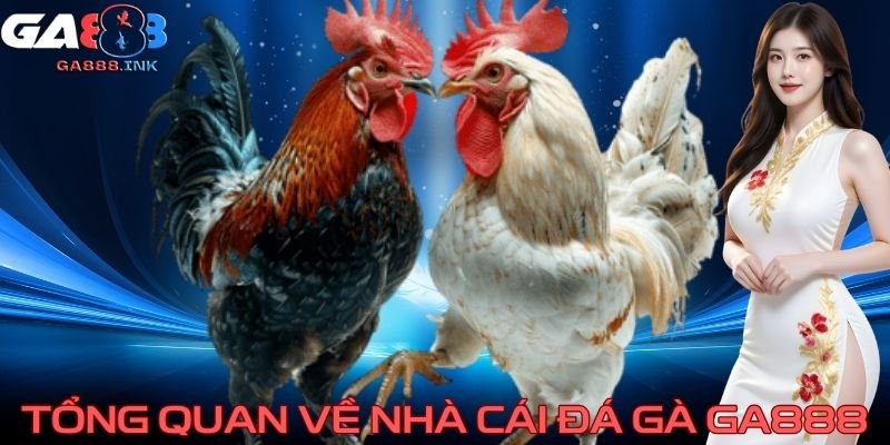 Tổng quan về nhà cái đá gà GA888